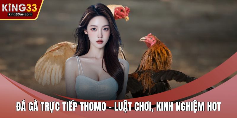Đá gà trực tiếp thomo