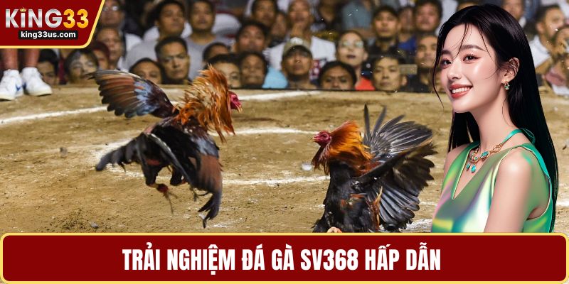 Trải nghiệm đá gà SV368 hấp dẫn